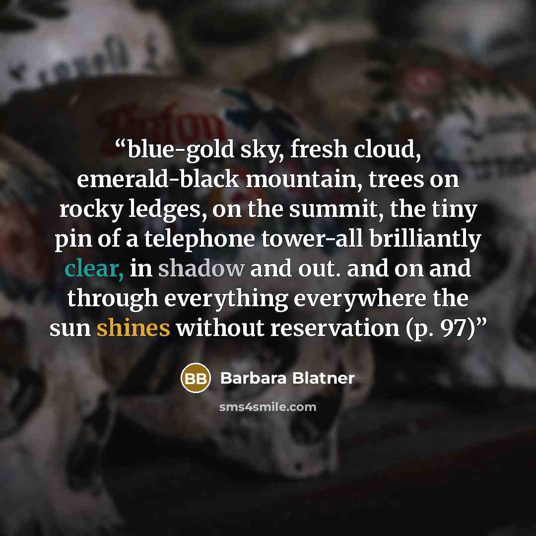“blue-gold sky, fresh cloud, emerald-black mountain, trees on rocky ledges, on the summit, the tiny pin of a telephone tower-all brilliantly clear, in shadow and out. and on and through everything everywhere the sun shines without reservation (p. 97)” quote by Barbara Blatner