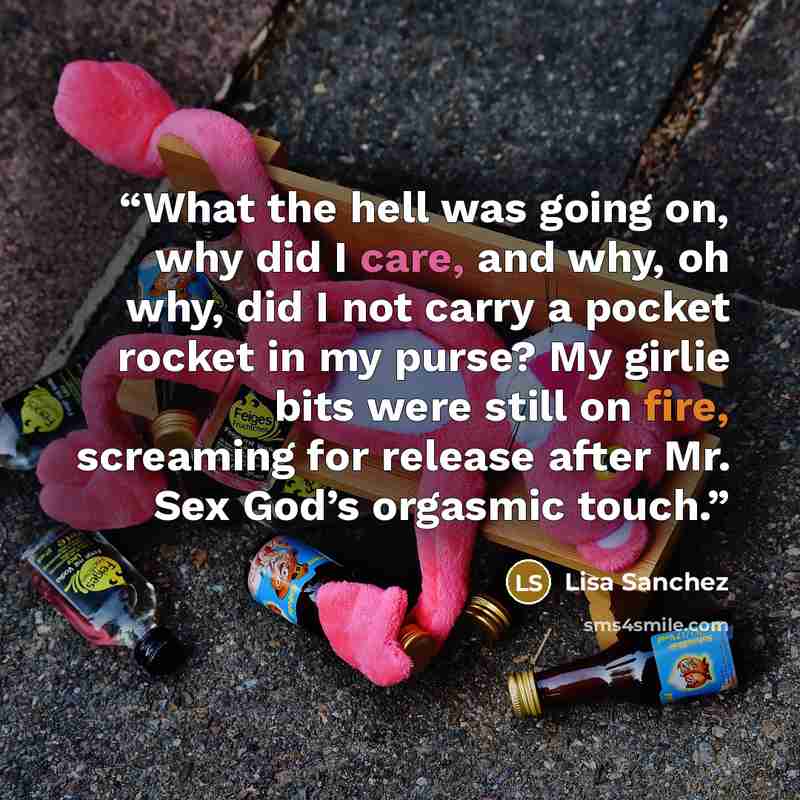 “What the hell was going on, why did I care, and why, oh why, did I not carry a pocket rocket in my purse? My girlie bits were still on fire, screaming for release after Mr. Sex God’s orgasmic touch.” quote by Lisa Sanchez
