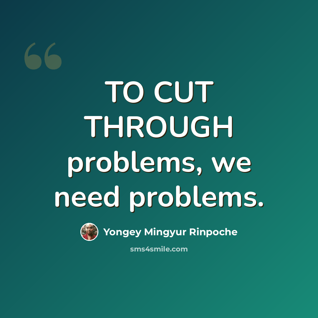 “TO CUT THROUGH problems, we need problems.” quote by Yongey Mingyur Rinpoche