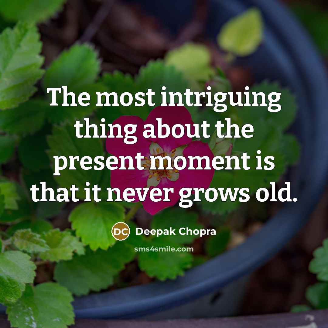 “The most intriguing thing about the present moment is that it never grows old.” quote by Deepak Chopra