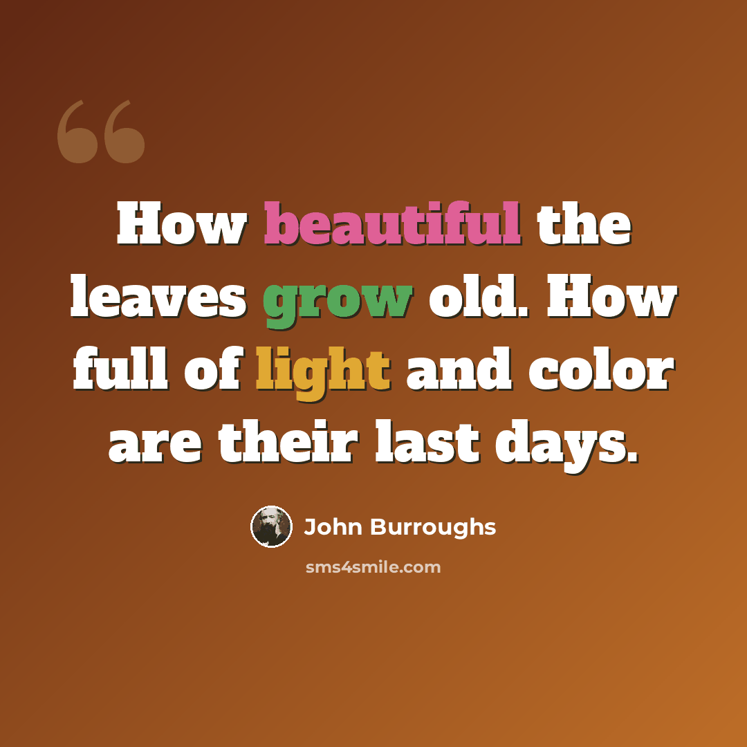 “How beautiful the leaves grow old. How full of light and color are their last days.” quote by John Burroughs
