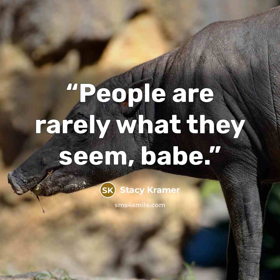 “People are rarely what they seem, babe.” quote by Stacy Kramer