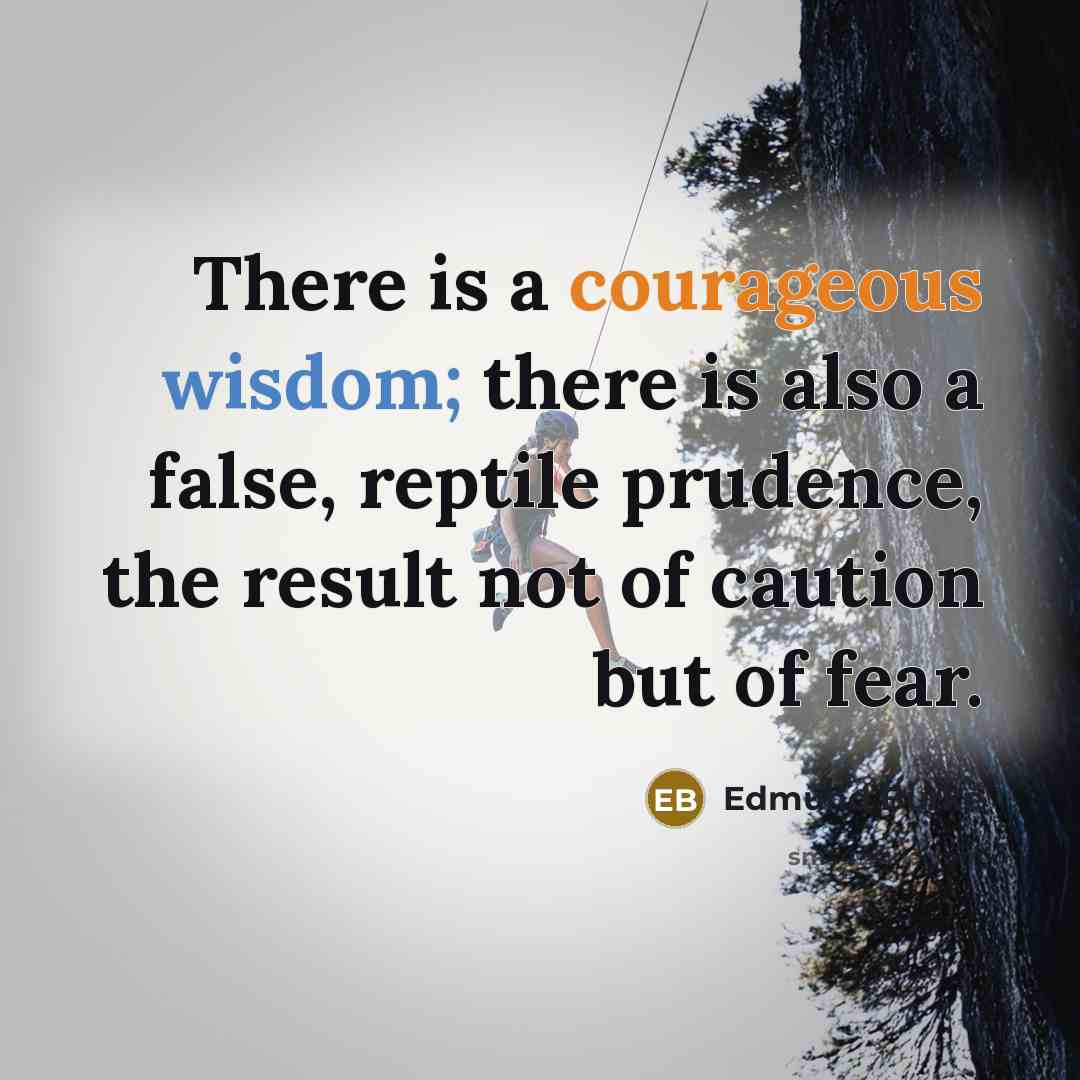 “There is a courageous wisdom; there is also a false, reptile prudence, the result not of caution but of fear.” quote by Edmund Burke