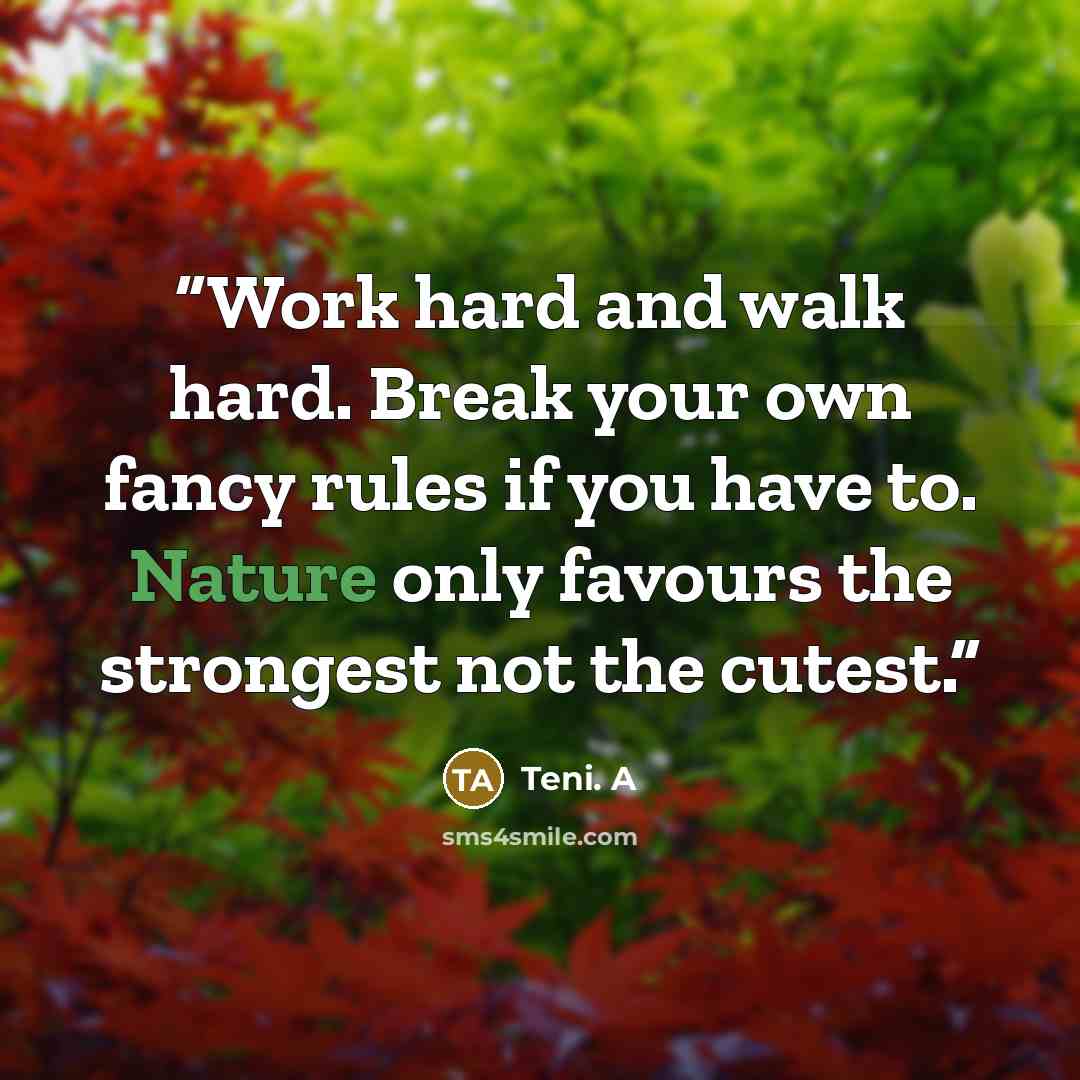 “Work hard and walk hard. Break your own fancy rules if you have to. Nature only favours the strongest not the cutest.” quote by Teni. A