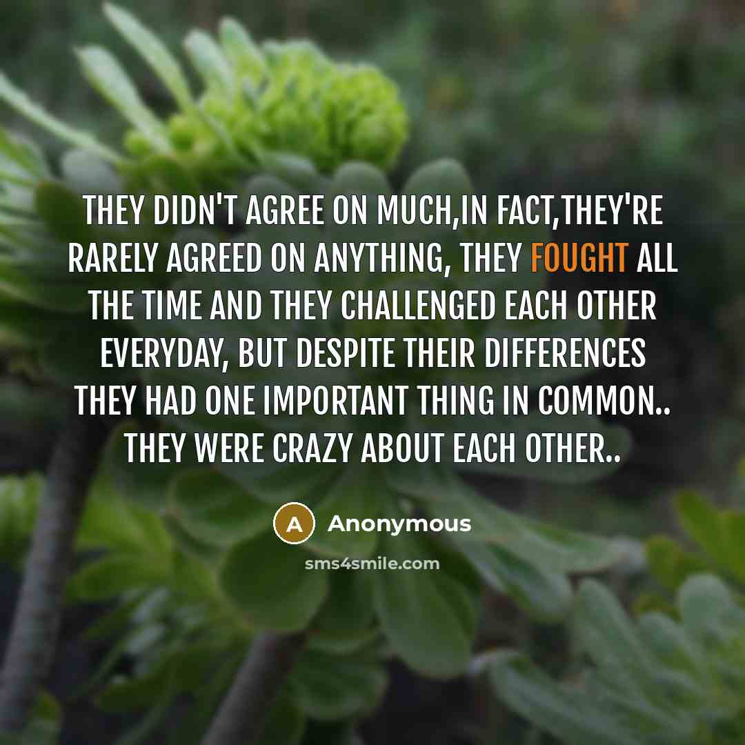 “They didn't agree on much,in fact,they're rarely agreed on anything, they fought all the time and they challenged each other everyday, but despite their differences they had one important thing in common.. They were crazy about each other..” quote by Anonymous