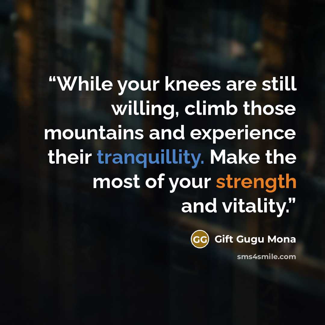 “While your knees are still willing, climb those mountains and experience their tranquillity. Make the most of your strength and vitality.” quote by Gift Gugu Mona