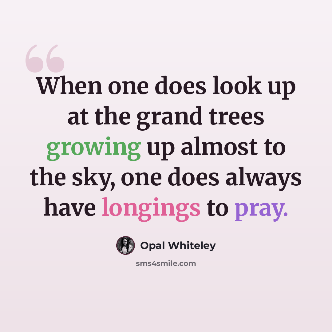“When one does look up at the grand trees growing up almost to the sky, one does always have longings to pray.” quote by Opal Whiteley