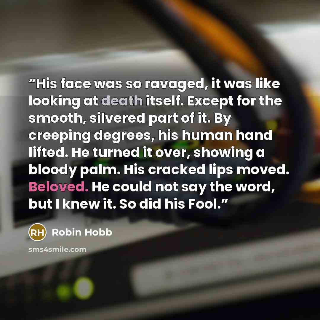 “His face was so ravaged, it was like looking at death itself. Except for the smooth, silvered part of it. By creeping degrees, his human hand lifted. He turned it over, showing a bloody palm. His cracked lips moved. Beloved. He could not say the word, but I knew it. So did his Fool.” quote by Robin Hobb