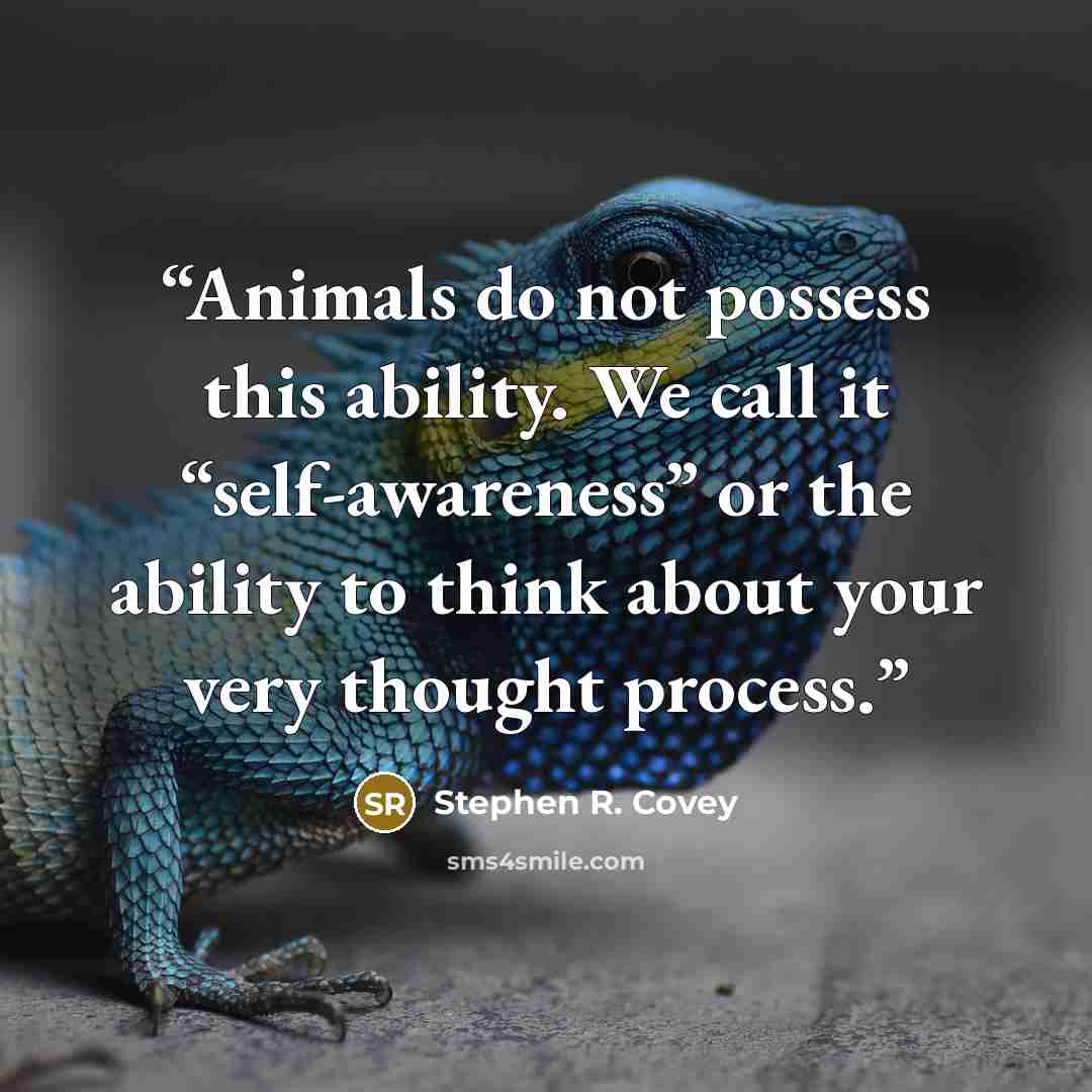 “Animals do not possess this ability. We call it “self-awareness” or the ability to think about your very thought process.” quote by Stephen R. Covey