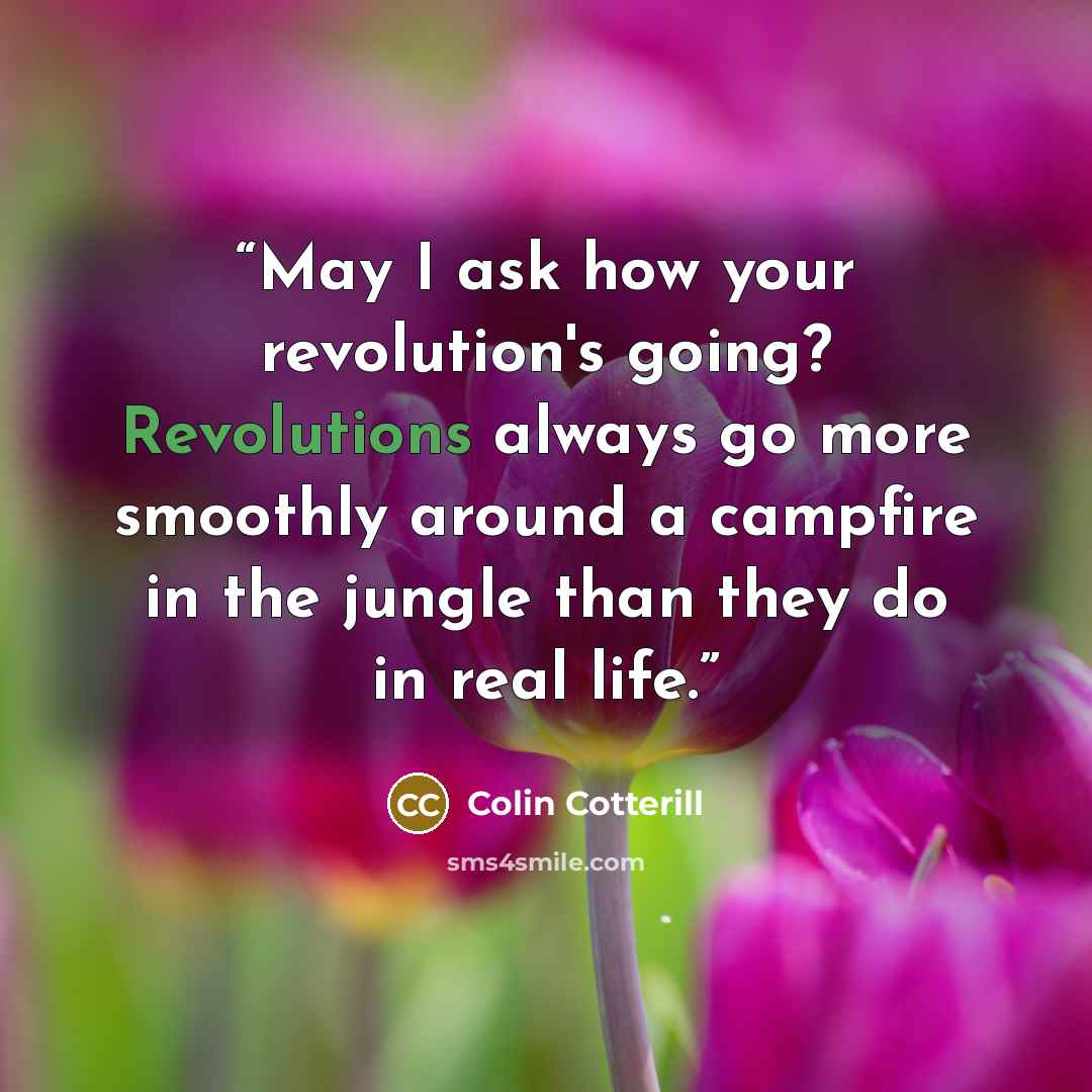 “May I ask how your revolution's going? Revolutions always go more smoothly around a campfire in the jungle than they do in real life.” quote by Colin Cotterill
