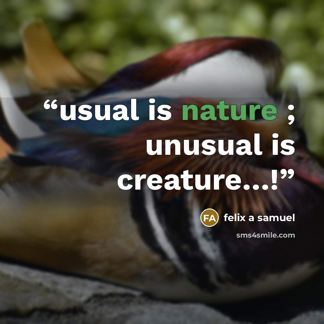 “usual is nature ; unusual is creature…!” quote by felix a samuel