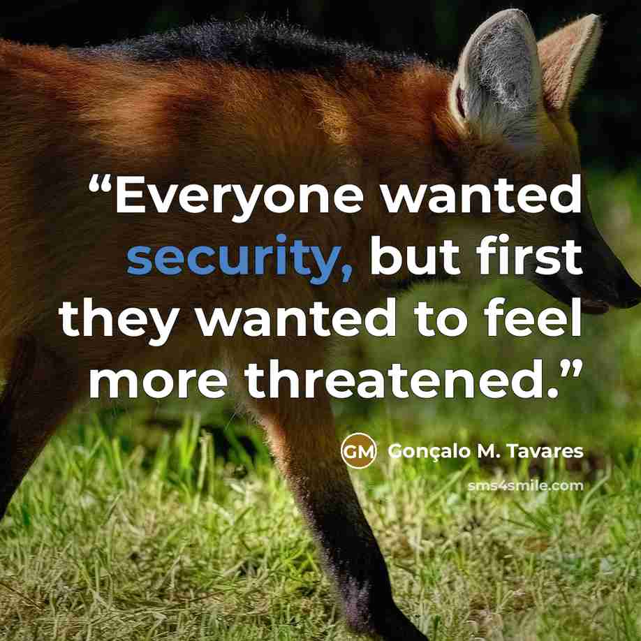 “Everyone wanted security, but first they wanted to feel more threatened.” quote by Gonçalo M. Tavares
