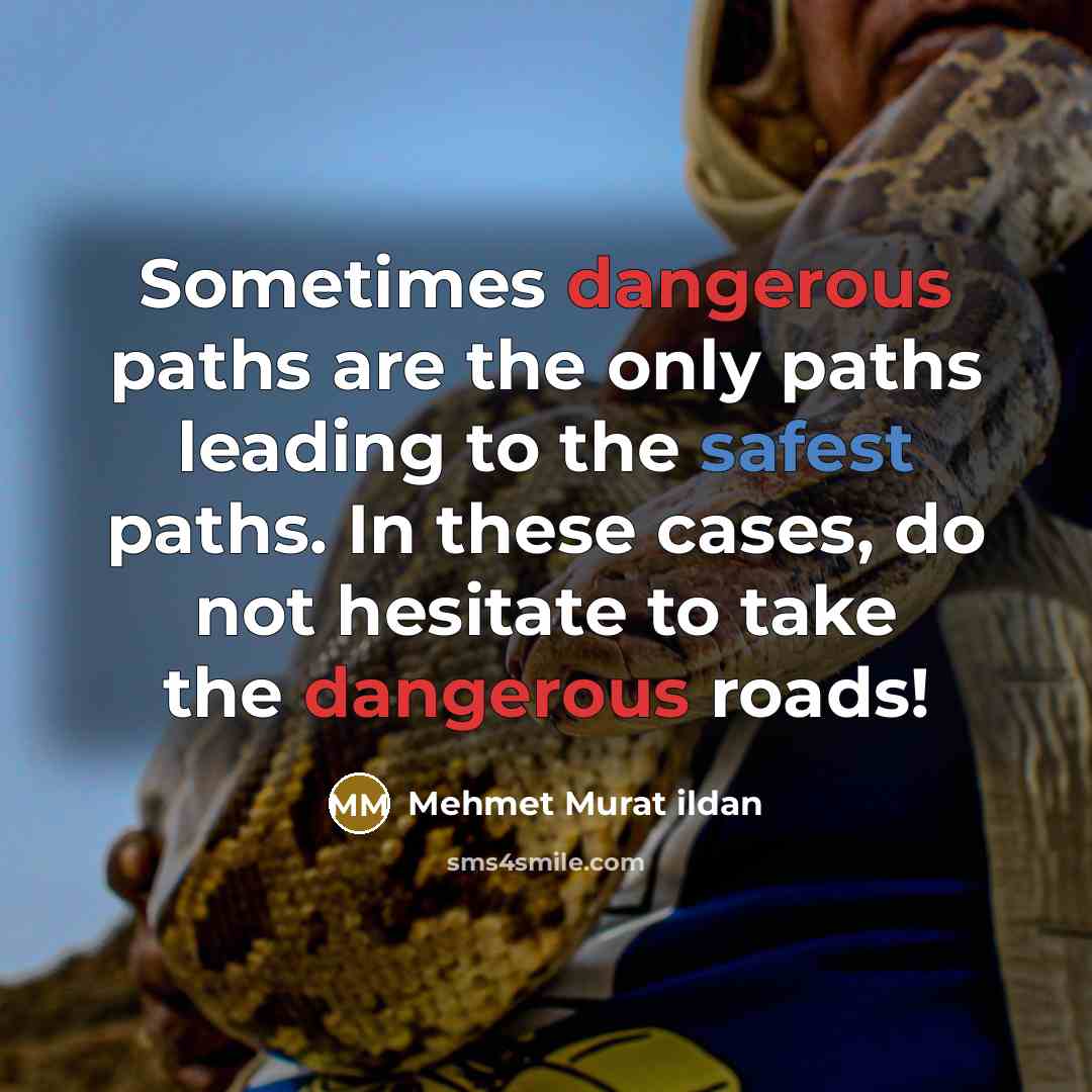 “Sometimes dangerous paths are the only paths leading to the safest paths. In these cases, do not hesitate to take the dangerous roads!” quote by Mehmet Murat Ildan