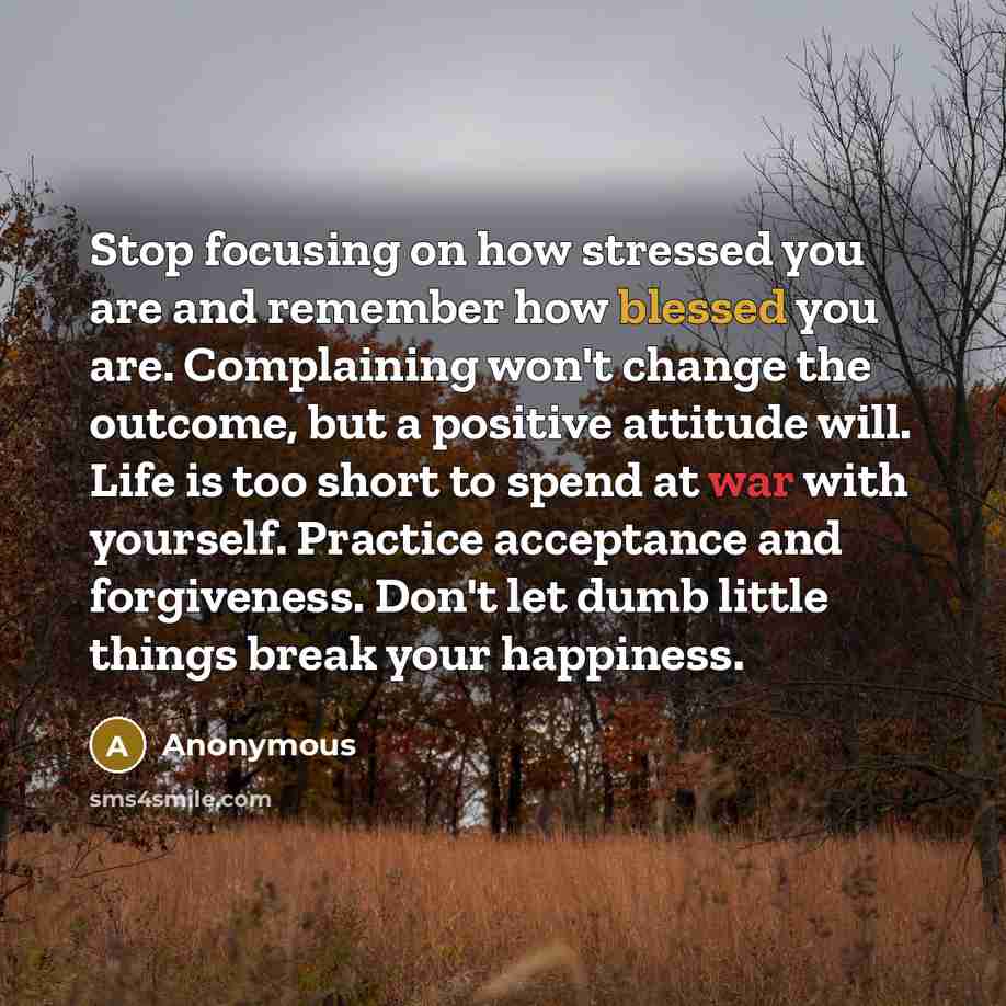 “Stop focusing on how stressed you are and remember how blessed you are. Complaining won't change the outcome, but a positive attitude will. Life is too short to spend at war with yourself. Practice acceptance and forgiveness. Don't let dumb little things break your happiness.” quote by Anonymous