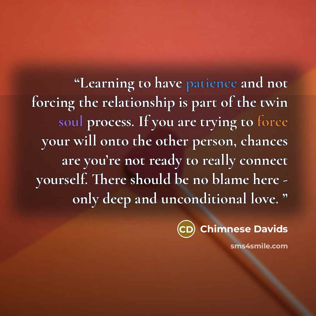 “Learning to have patience and not forcing the relationship is part of the twin soul process. If you are trying to force your will onto the other person, chances are you’re not ready to really connect yourself. There should be no blame here - only deep and unconditional love.” quote by Chimnese Davids