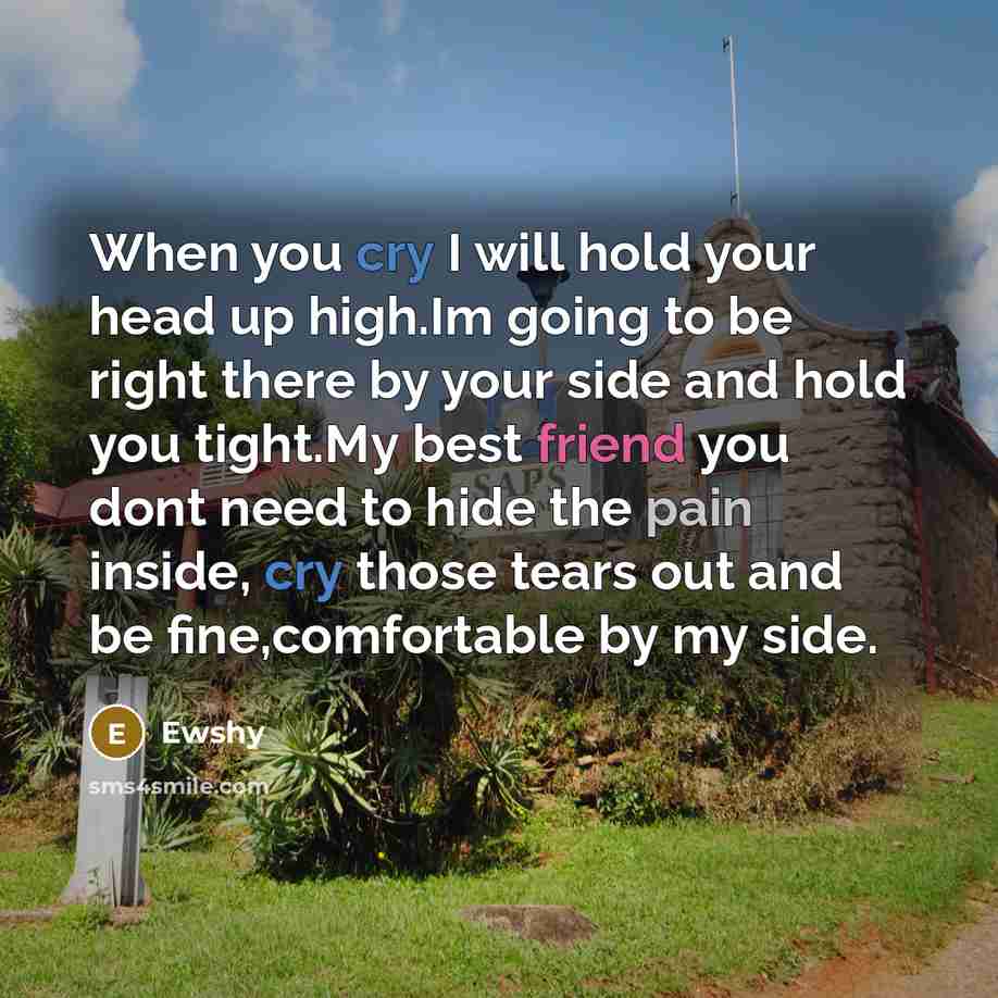 “When you cry I will hold your head up high.Im going to be right there by your side and hold you tight.My best friend you dont need to hide the pain inside, cry those tears out and be fine,comfortable by my side.” quote by Ewshy