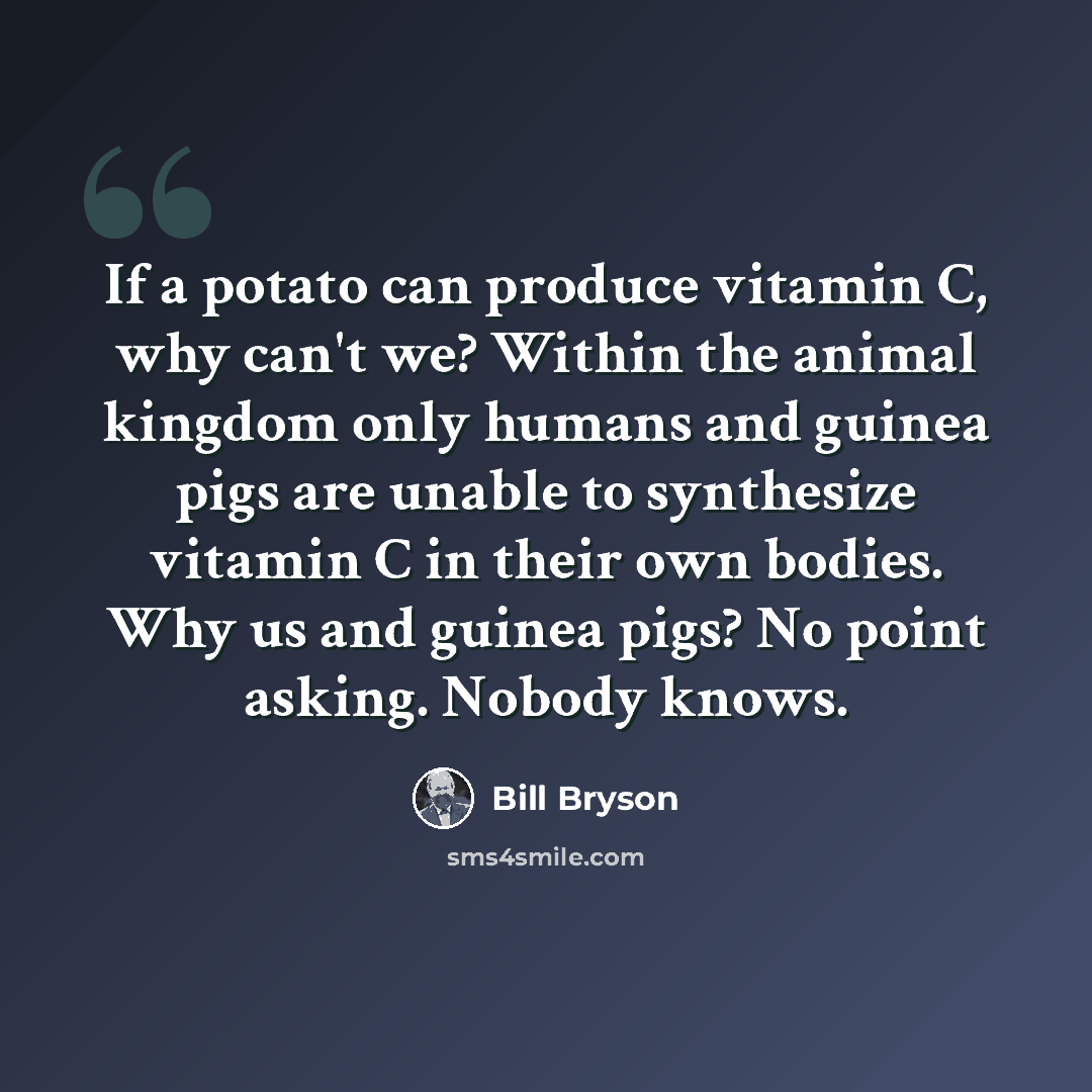 “If a potato can produce vitamin C, why can't we? Within the animal kingdom only humans and guinea pigs are unable to synthesize vitamin C in their own bodies. Why us and guinea pigs? No point asking. Nobody knows.” quote by Bill Bryson