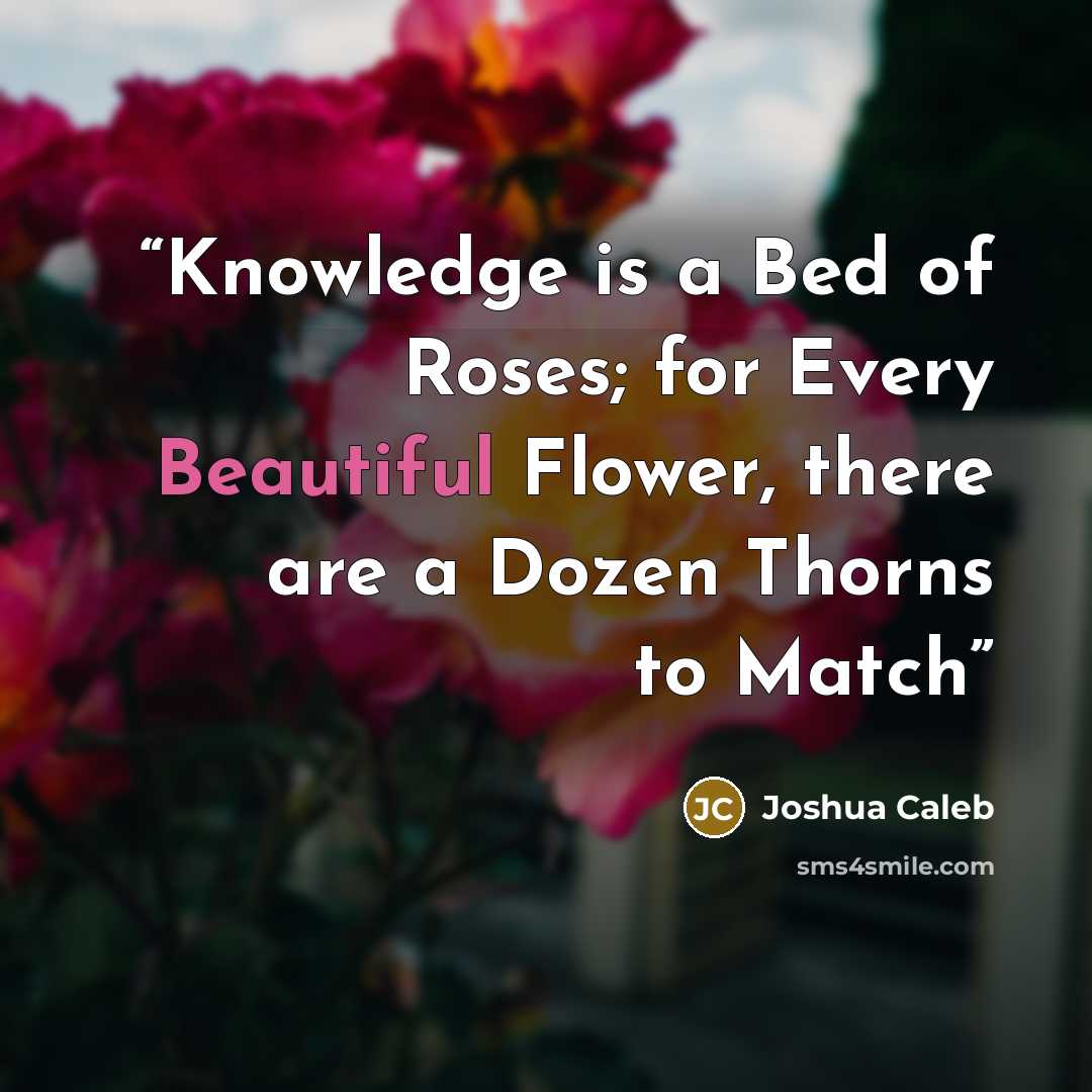 “Knowledge is a Bed of Roses; for Every Beautiful Flower, there are a Dozen Thorns to Match” quote by Joshua Caleb
