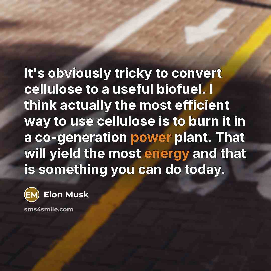 “It's obviously tricky to convert cellulose to a useful biofuel. I think actually the most efficient way to use cellulose is to burn it in a co-generation power plant. That will yield the most energy and that is something you can do today.” quote by Elon Musk