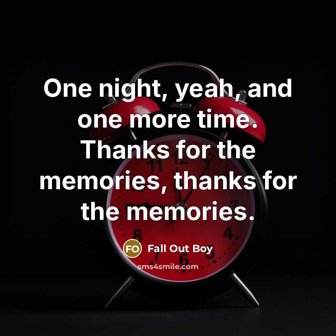 “One night, yeah, and one more time. Thanks for the memories, thanks for the memories.” quote by Fall Out Boy