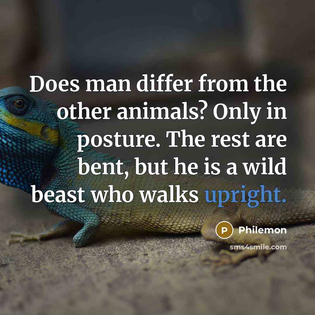 “Does man differ from the other animals? Only in posture. The rest are bent, but he is a wild beast who walks upright.” quote by Philemon