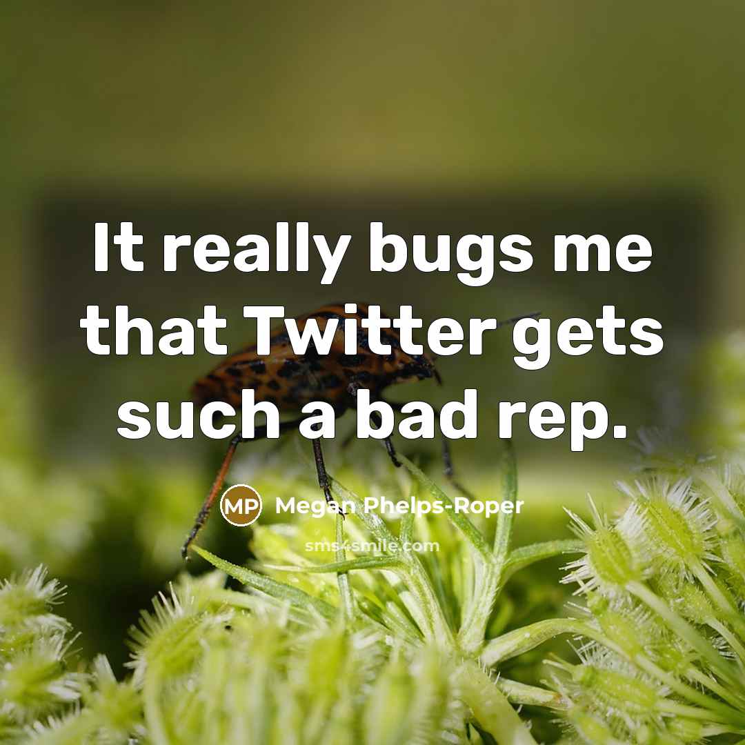 “It really bugs me that Twitter gets such a bad rep.” quote by Megan Phelps-Roper