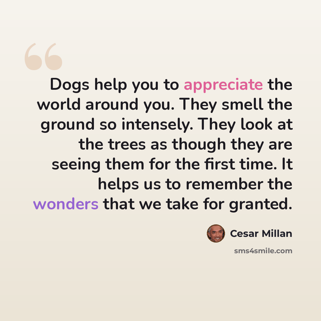 “Dogs help you to appreciate the world around you. They smell the ground so intensely. They look at the trees as though they are seeing them for the first time. It helps us to remember the wonders that we take for granted.” quote by Cesar Millan