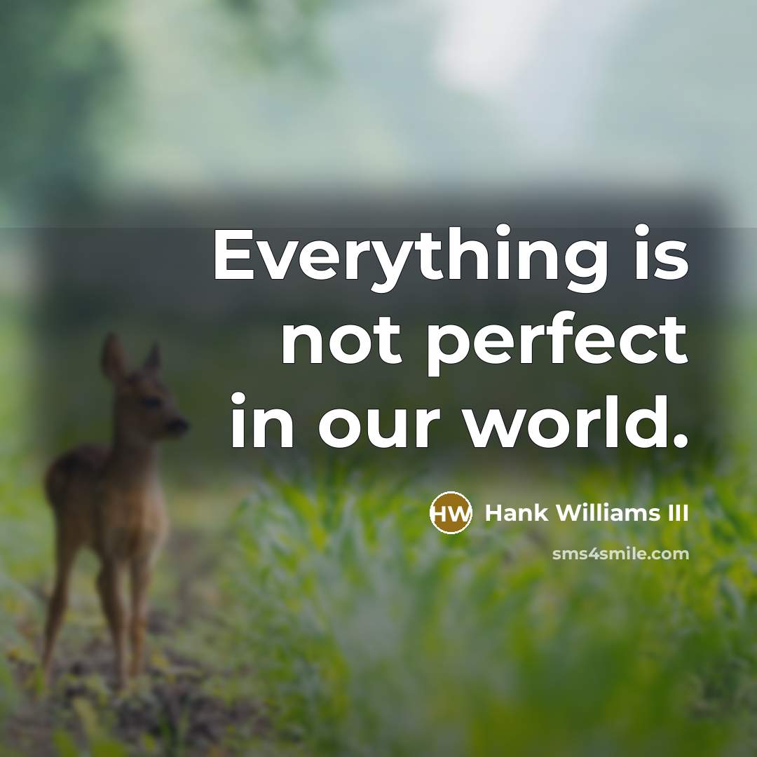 “Everything is not perfect in our world.” quote by Hank Williams III