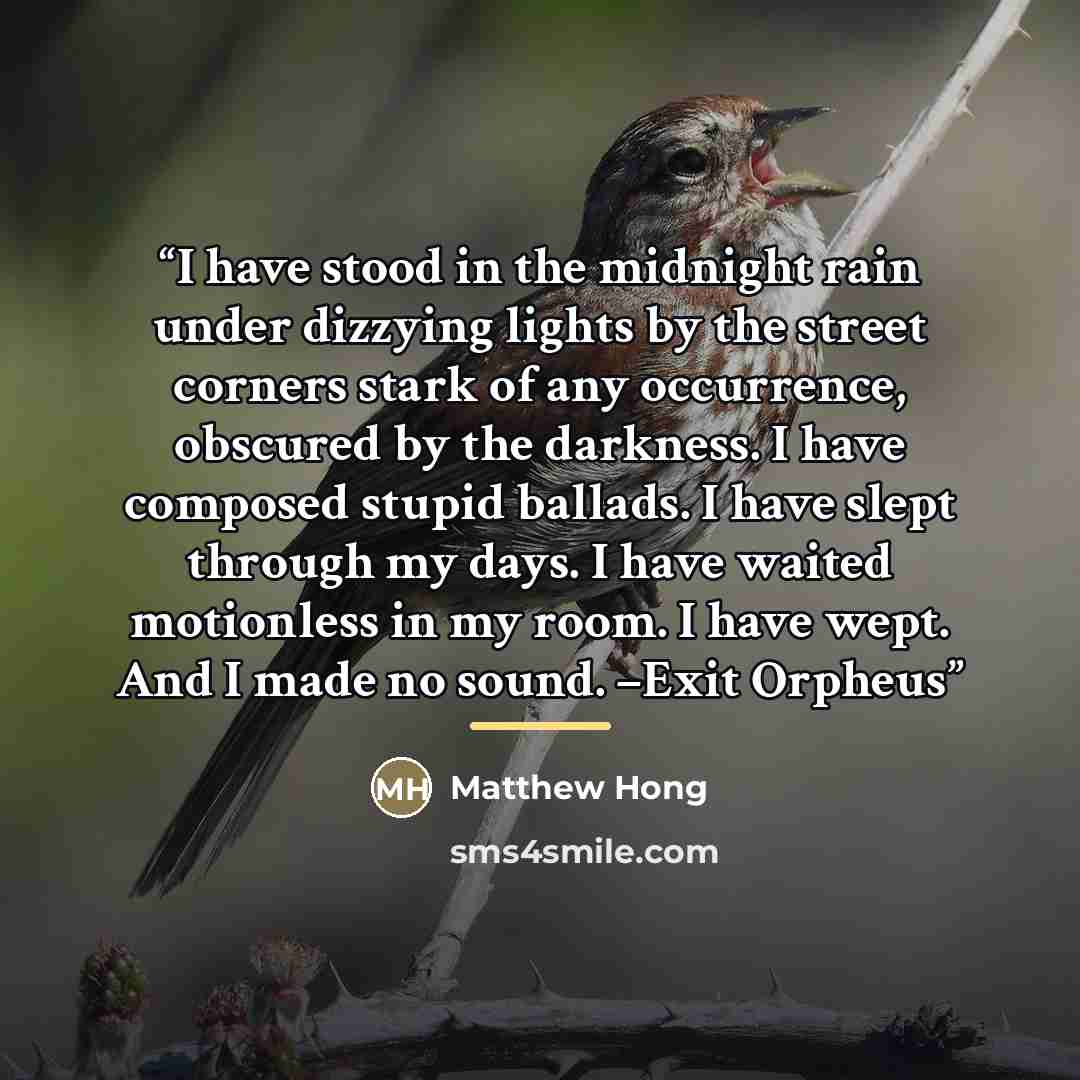 “I have stood in the midnight rain under dizzying lights by the street corners stark of any occurrence, obscured by the darkness. I have composed stupid ballads. I have slept through my days. I have waited motionless in my room. I have wept. And I made no sound. –Exit Orpheus” quote by Matthew Hong