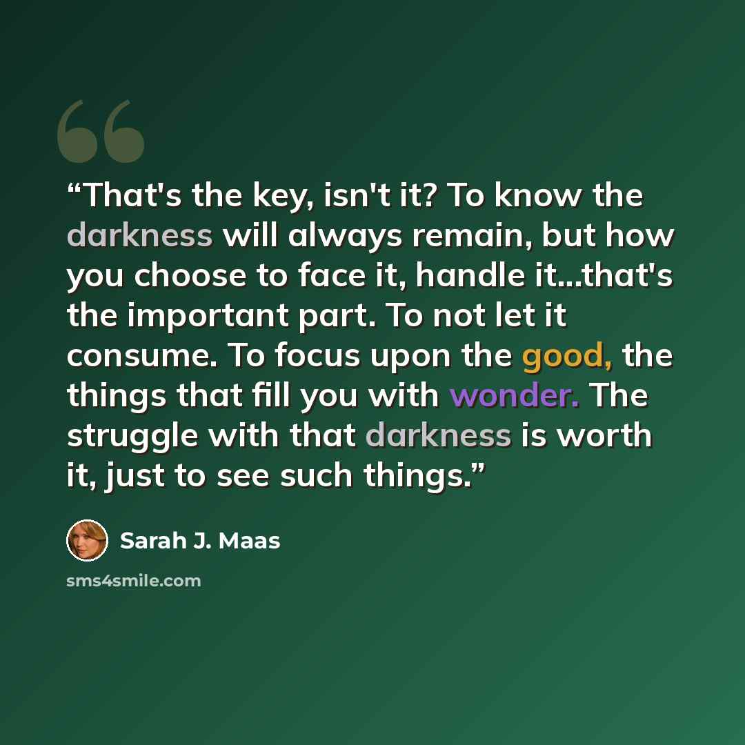 “That's the key, isn't it? To know the darkness will always remain, but how you choose to face it, handle it...that's the important part. To not let it consume. To focus upon the good, the things that fill you with wonder. The struggle with that darkness is worth it, just to see such things.” quote by Sarah J. Maas