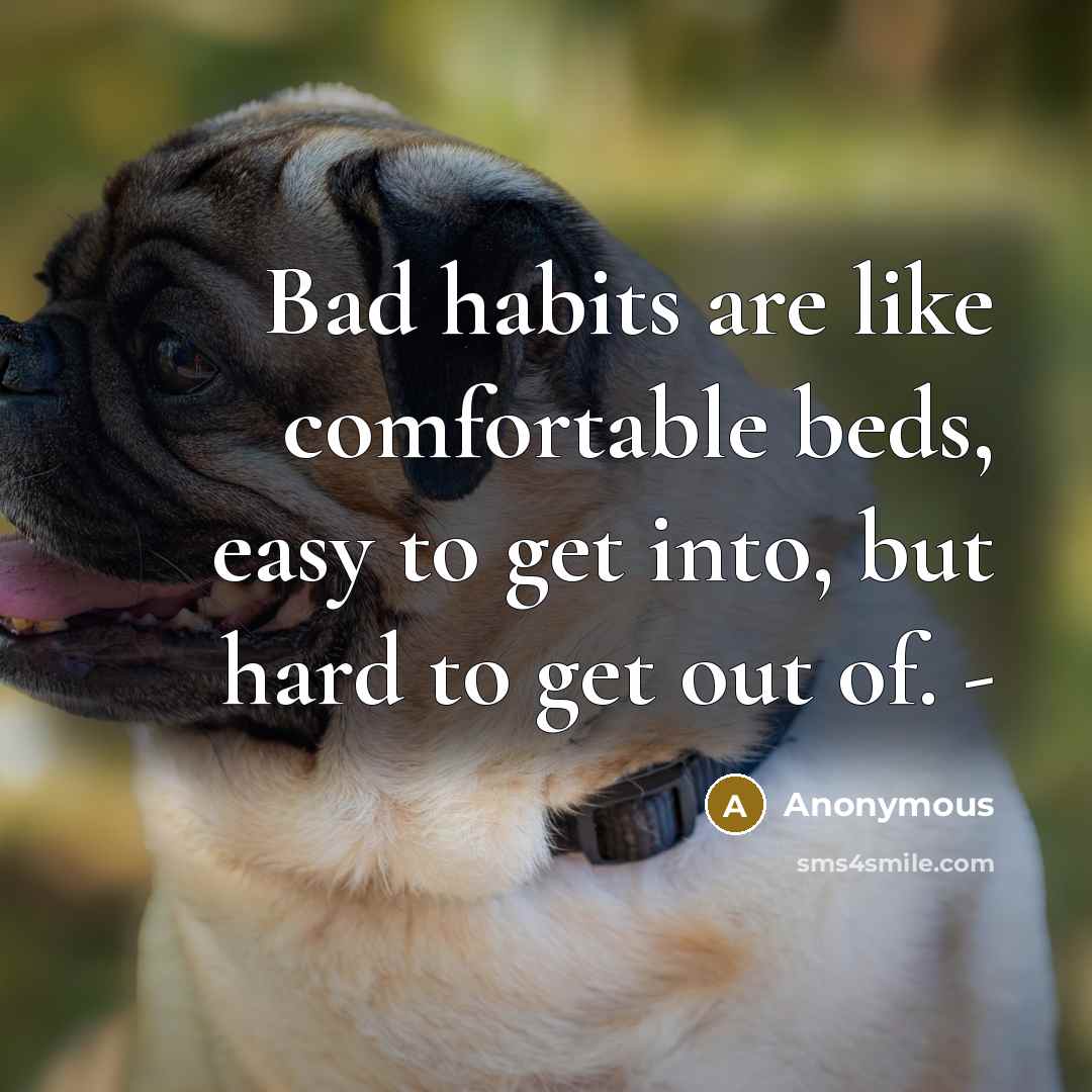 “Bad habits are like comfortable beds, easy to get into, but hard to get out of. -” quote by Anonymous