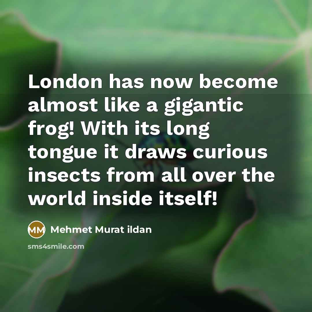 “London has now become almost like a gigantic frog! With its long tongue it draws curious insects from all over the world inside itself!” quote by Mehmet Murat Ildan