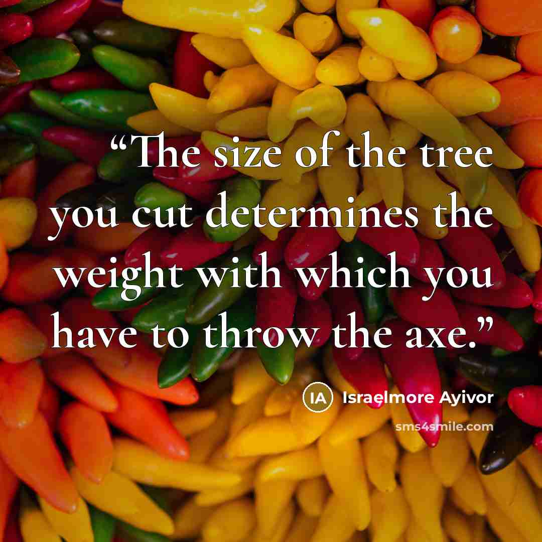“The size of the tree you cut determines the weight with which you have to throw the axe.” quote by Israelmore Ayivor