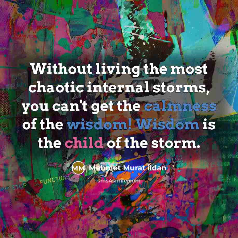 “Without living the most chaotic internal storms, you can't get the calmness of the wisdom! Wisdom is the child of the storm.” quote by Mehmet Murat Ildan