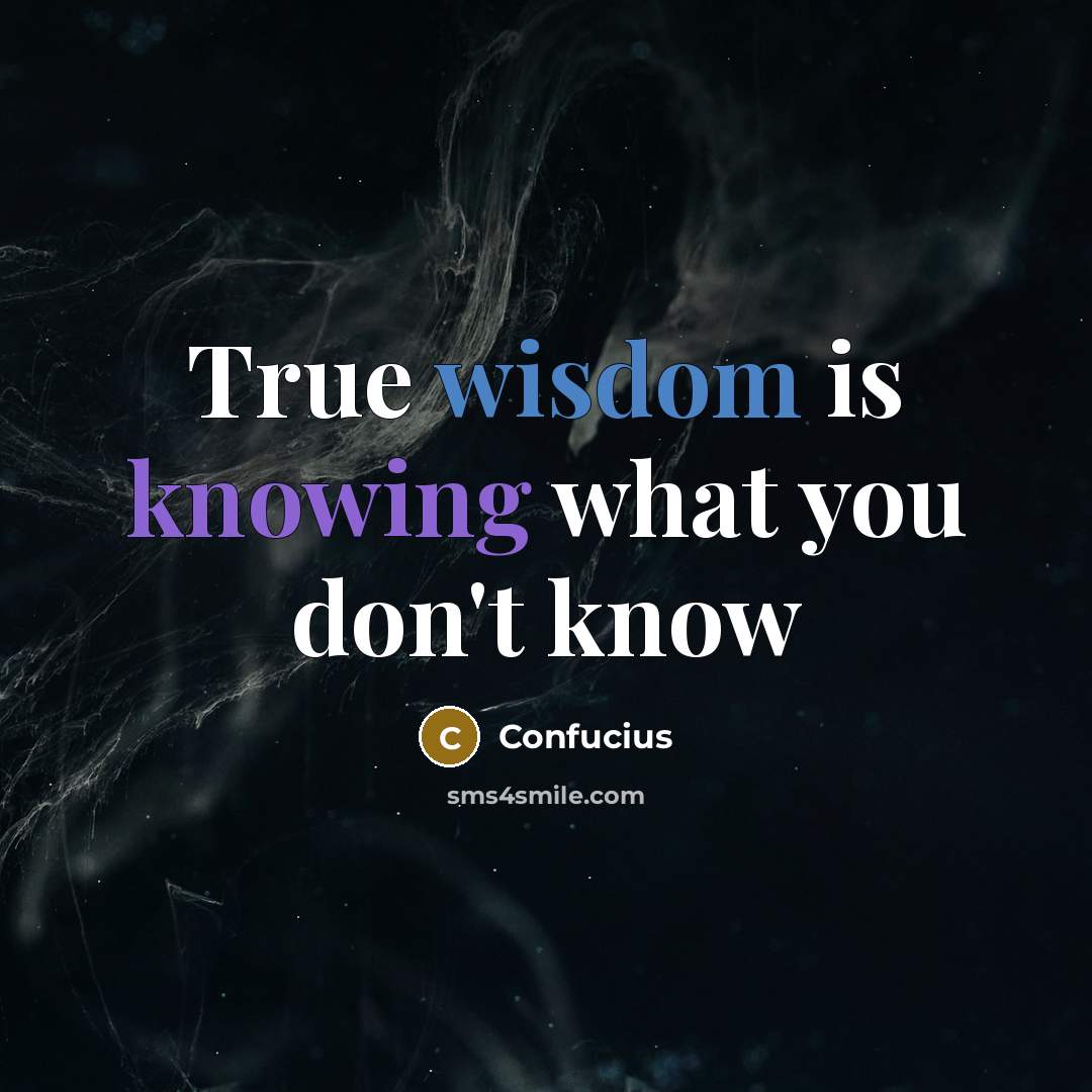 “True wisdom is knowing what you don't know” quote by Confucius