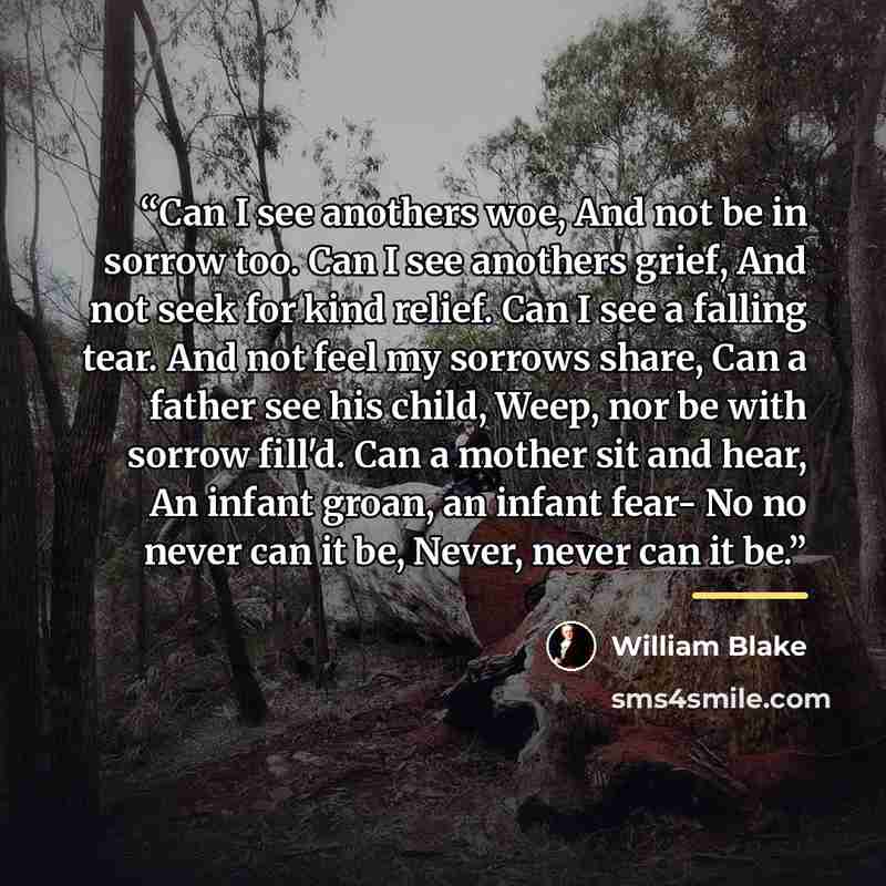 “Can I see anothers woe, And not be in sorrow too. Can I see anothers grief, And not seek for kind relief. Can I see a falling tear. And not feel my sorrows share, Can a father see his child, Weep, nor be with sorrow fill'd. Can a mother sit and hear, An infant groan, an infant fear- No no never…” quote by William Blake