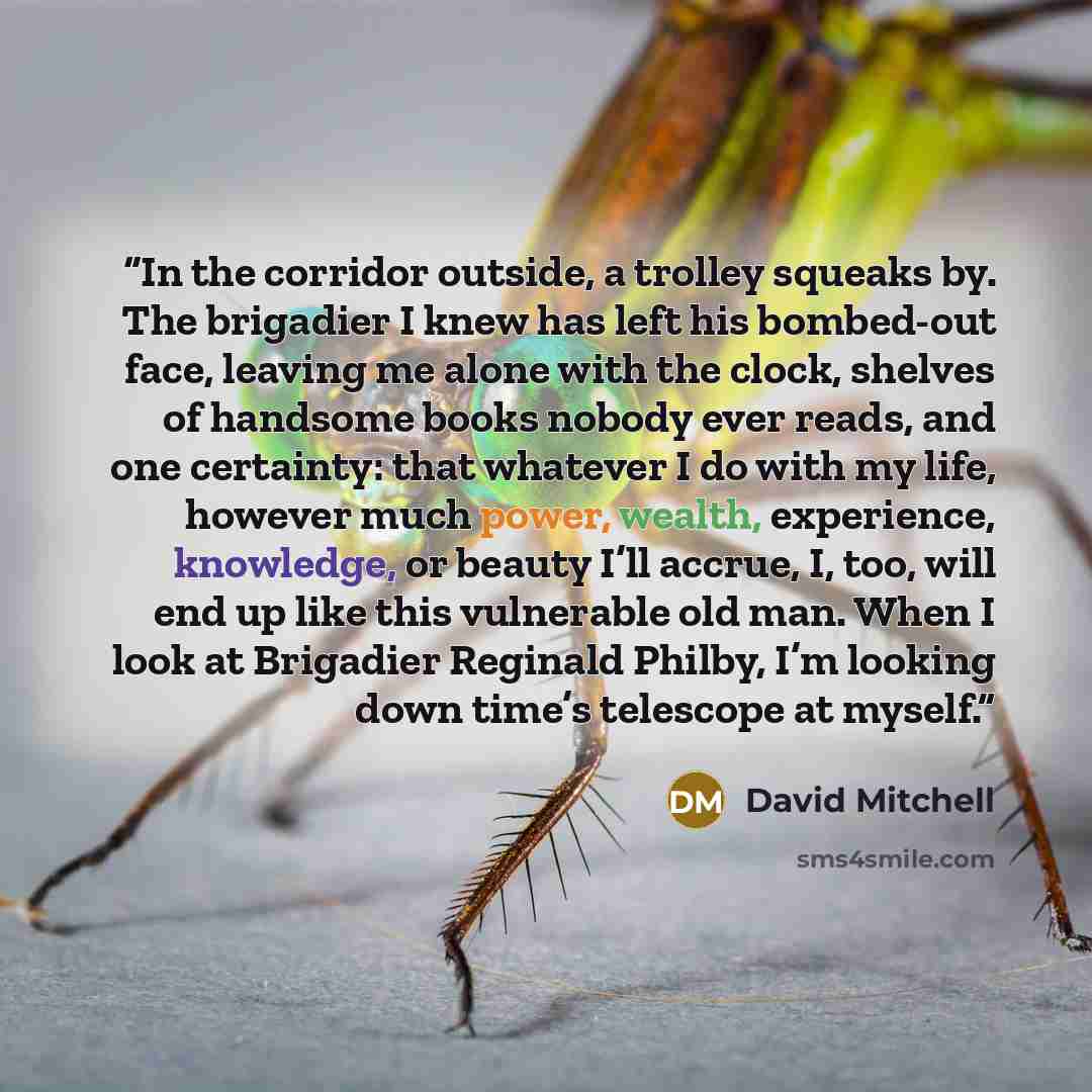 “In the corridor outside, a trolley squeaks by. The brigadier I knew has left his bombed-out face, leaving me alone with the clock, shelves of handsome books nobody ever reads, and one certainty: that whatever I do with my life, however much power, wealth, experience, knowledge, or beauty I’ll…” quote by David Mitchell