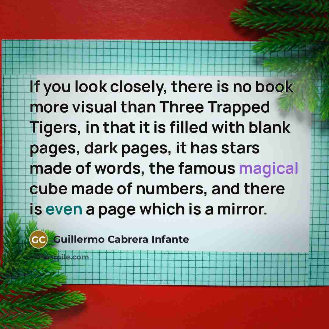 “If you look closely, there is no book more visual than Three Trapped Tigers, in that it is filled with blank pages, dark pages, it has stars made of words, the famous magical cube made of numbers, and there is even a page which is a mirror.” quote by Guillermo Cabrera Infante