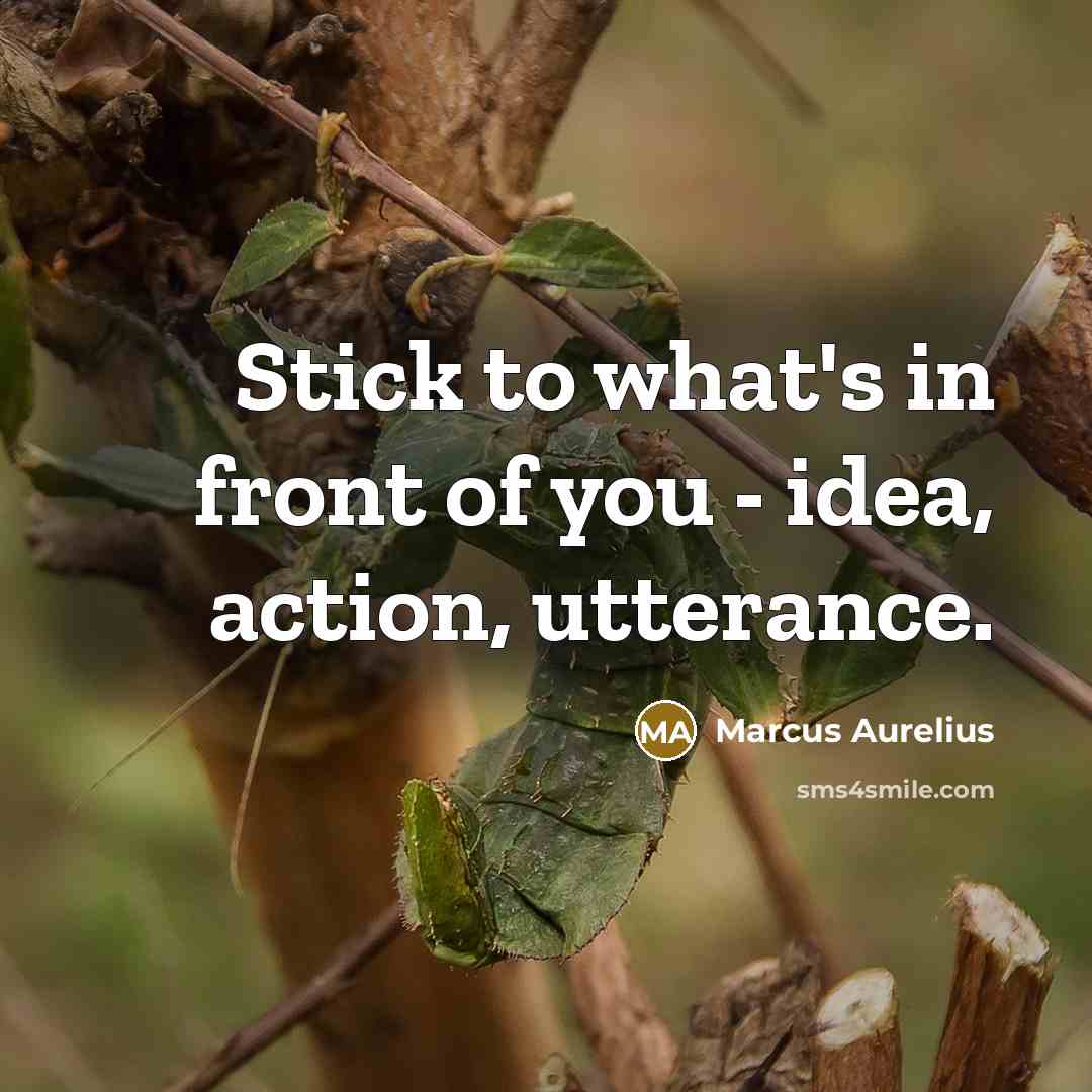 “Stick to what's in front of you - idea, action, utterance.” quote by Marcus Aurelius