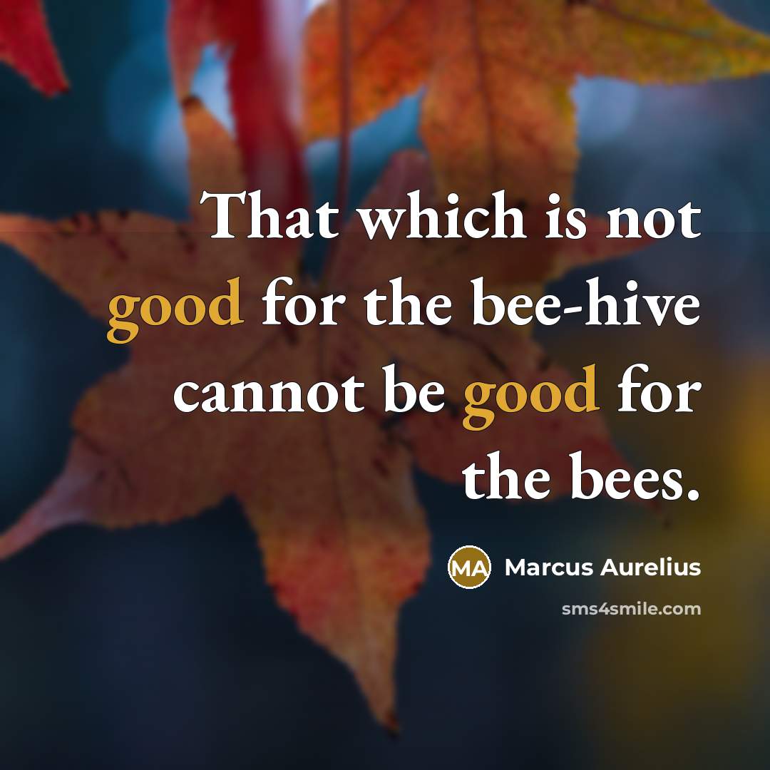 “That which is not good for the bee-hive cannot be good for the bees.” quote by Marcus Aurelius