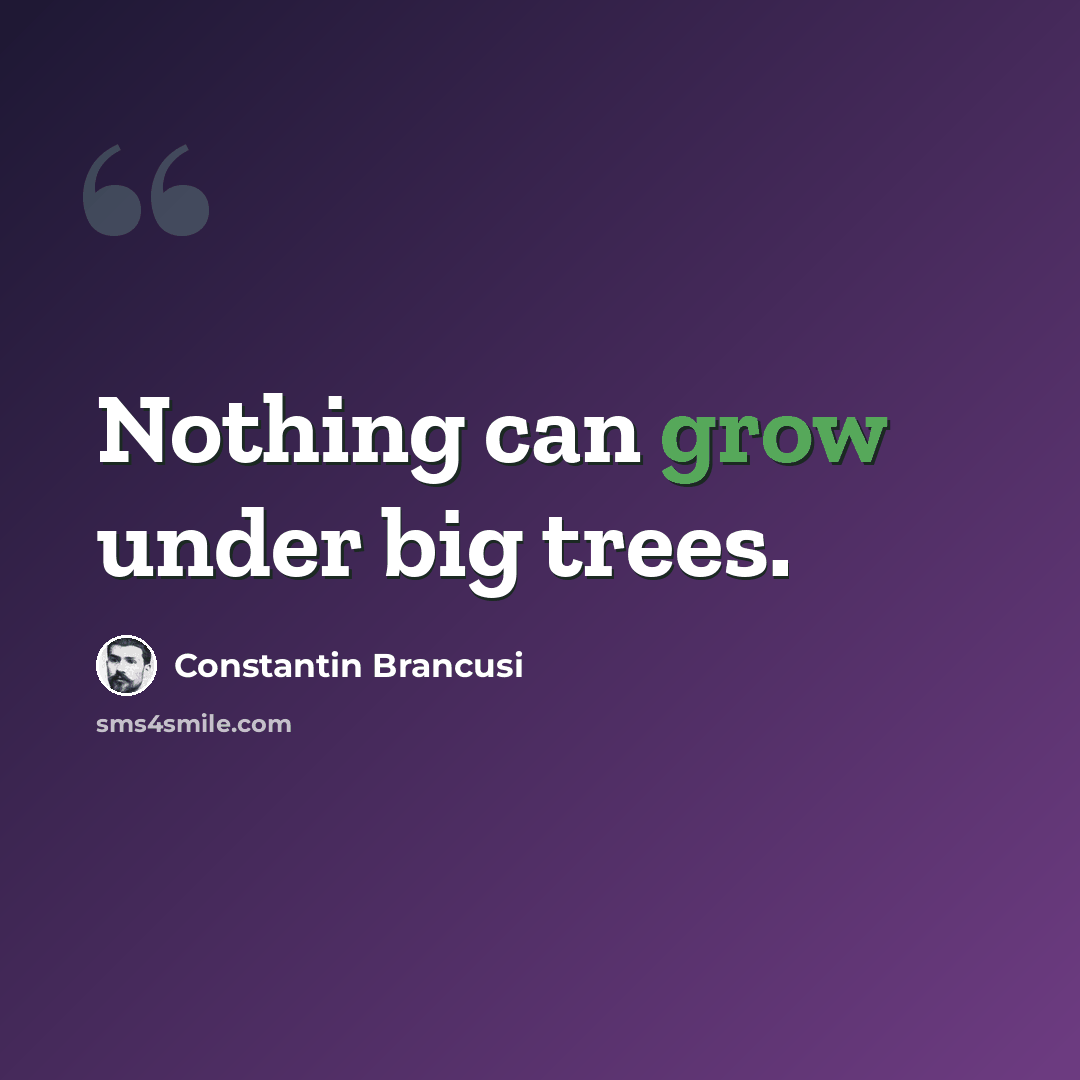“Nothing can grow under big trees.” quote by Constantin Brancusi