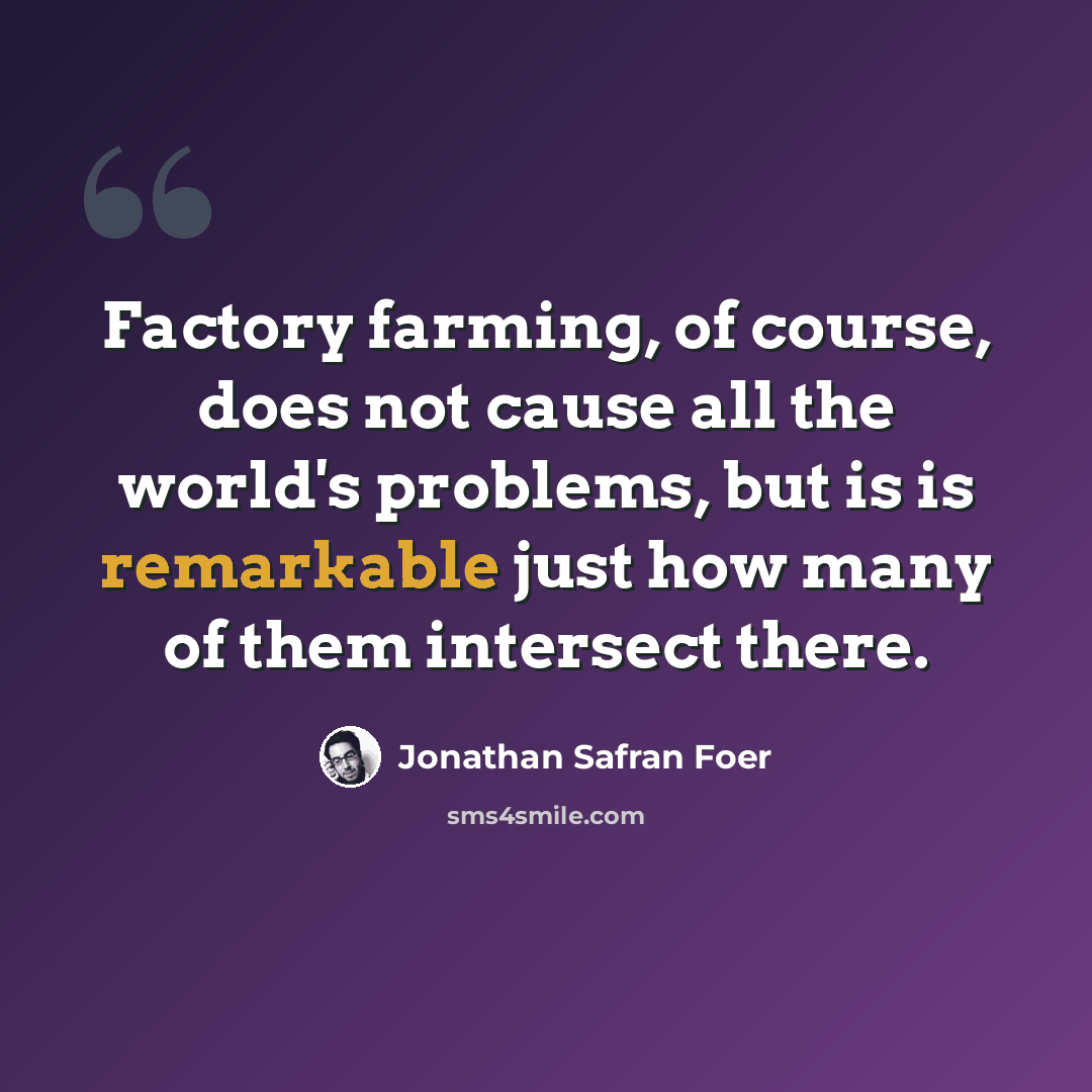 “Factory farming, of course, does not cause all the world's problems, but is is remarkable just how many of them intersect there.” quote by Jonathan Safran Foer
