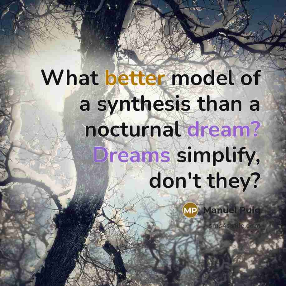 “What better model of a synthesis than a nocturnal dream? Dreams simplify, don't they?” quote by Manuel Puig
