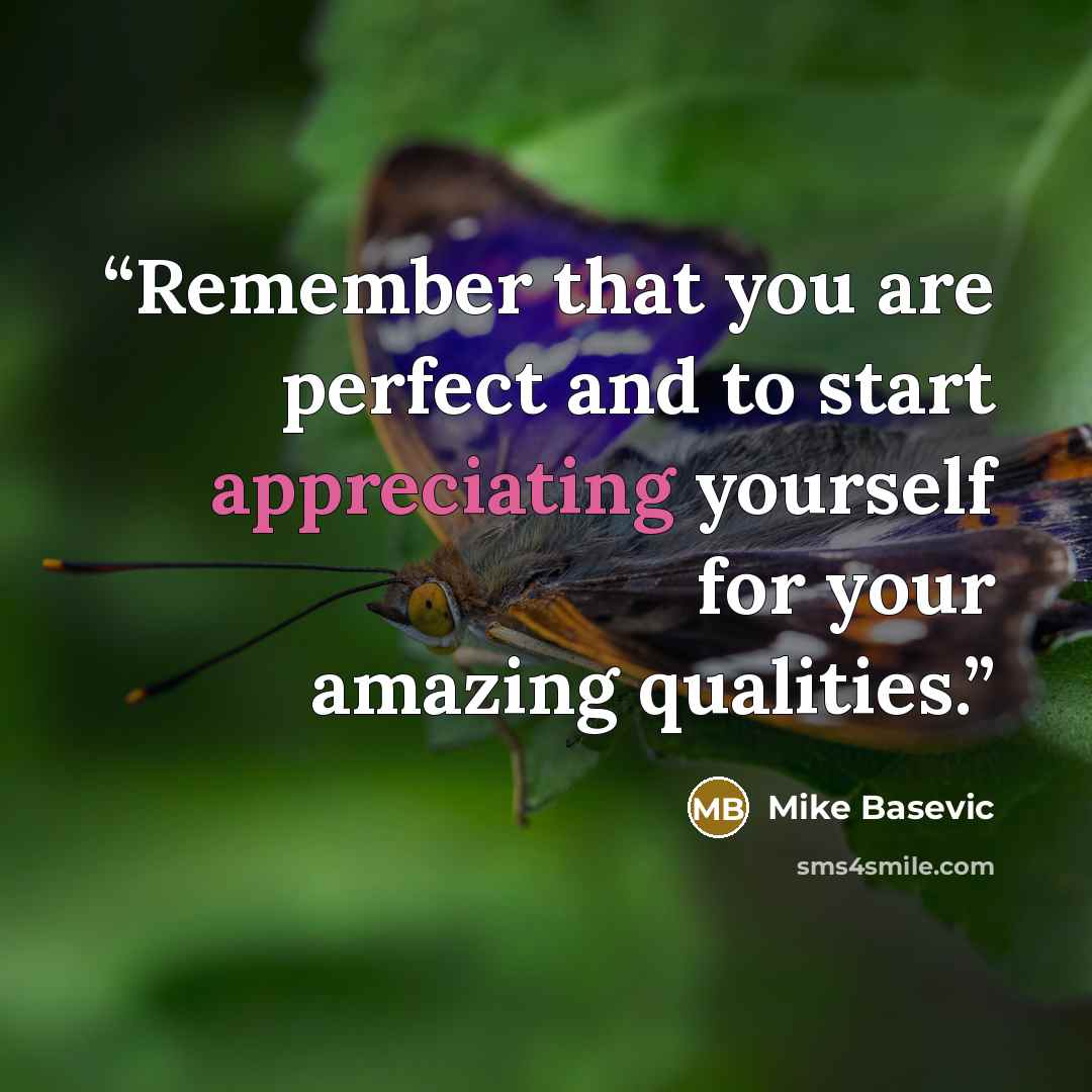 “Remember that you are perfect and to start appreciating yourself for your amazing qualities.” quote by Mike Basevic