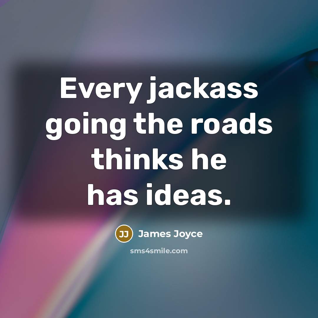 “Every jackass going the roads thinks he has ideas.” quote by James Joyce
