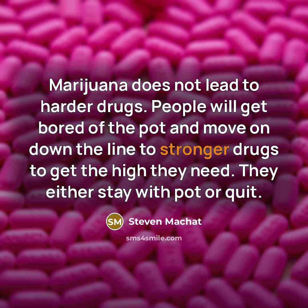 “Marijuana does not lead to harder drugs. People will get bored of the pot and move on down the line to stronger drugs to get the high they need. They either stay with pot or quit.” quote by Steven Machat