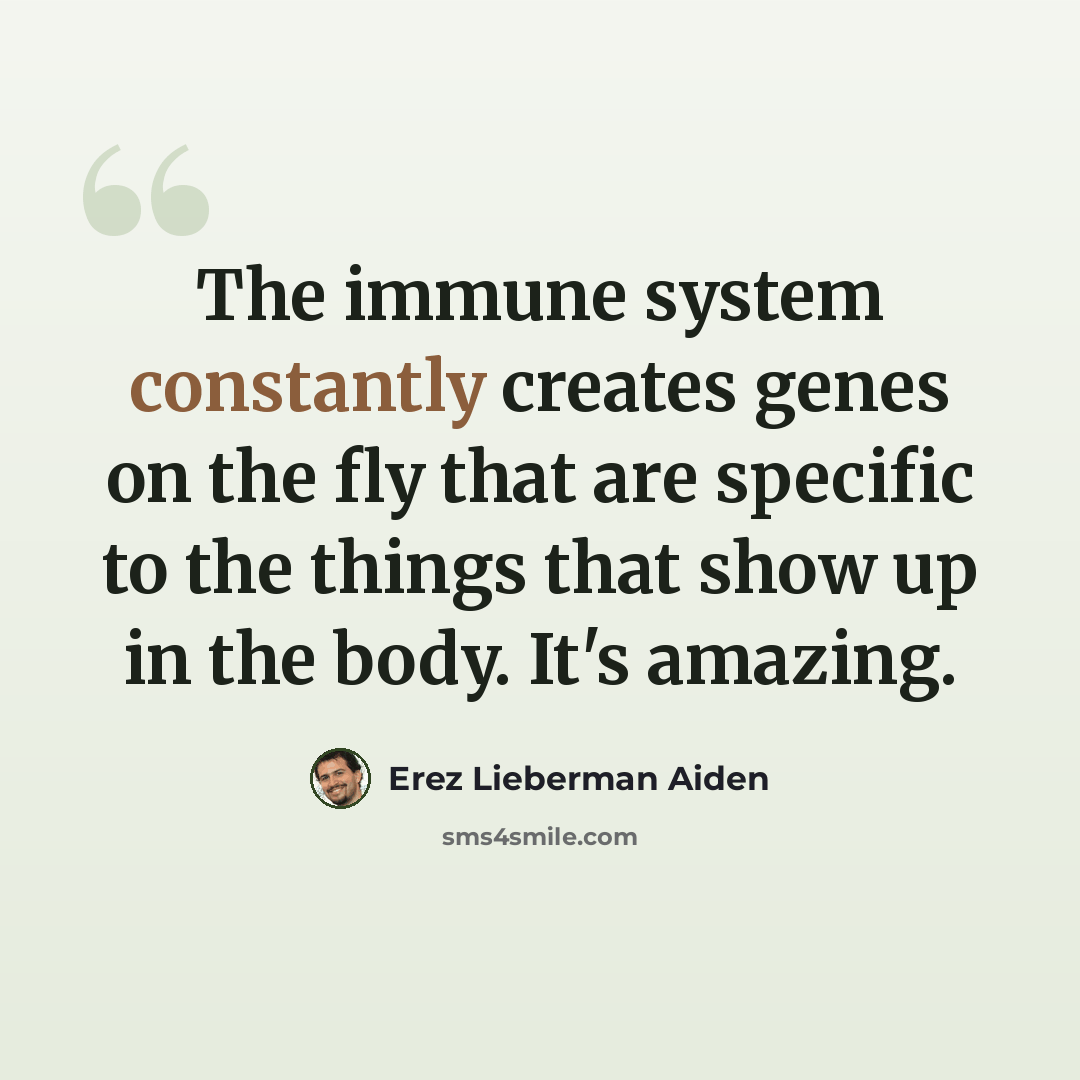 “The immune system constantly creates genes on the fly that are specific to the things that show up in the body. It's amazing.” quote by Erez Lieberman Aiden