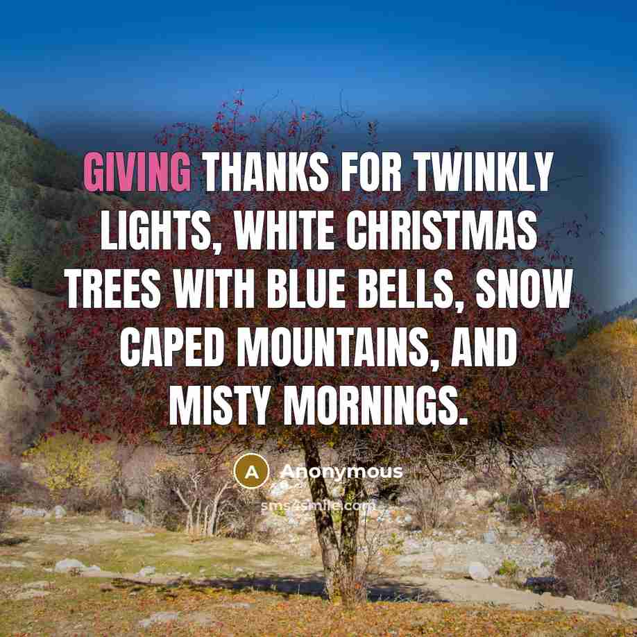 “Giving thanks for twinkly lights, white Christmas trees with blue bells, snow caped mountains, and misty mornings.” quote by Anonymous