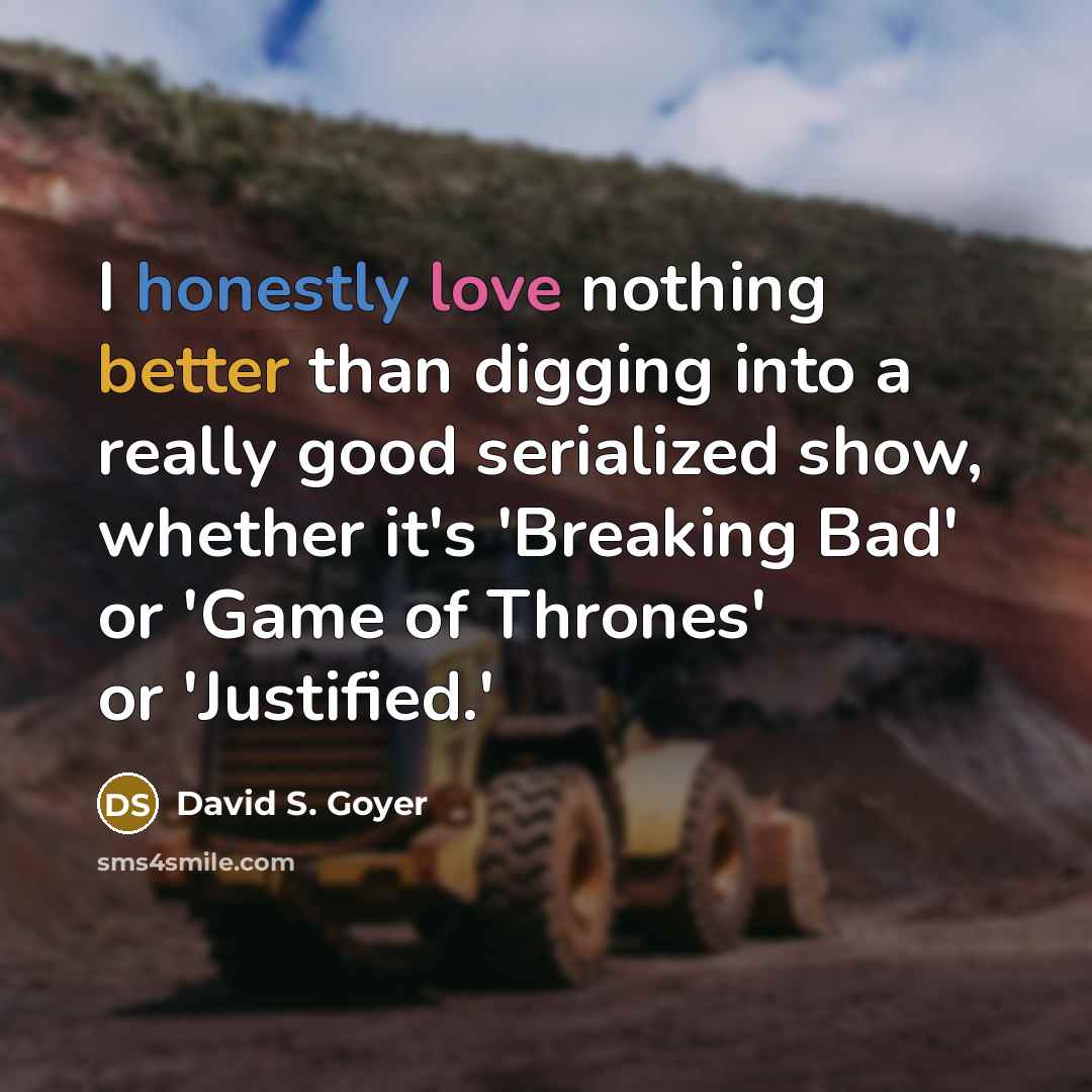 “I honestly love nothing better than digging into a really good serialized show, whether it's 'Breaking Bad' or 'Game of Thrones' or 'Justified.'” quote by David S. Goyer