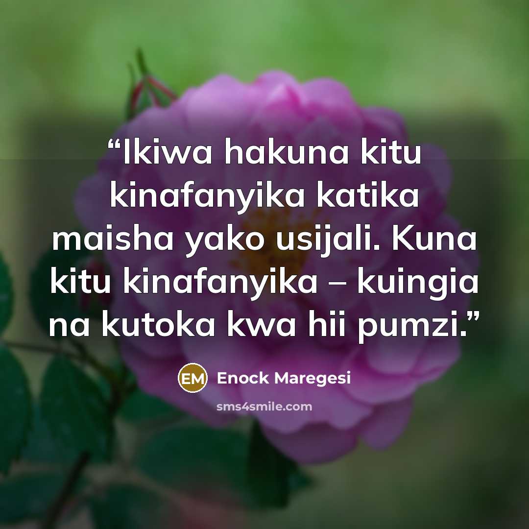 “Ikiwa hakuna kitu kinafanyika katika maisha yako usijali. Kuna kitu kinafanyika – kuingia na kutoka kwa hii pumzi.” quote by Enock Maregesi